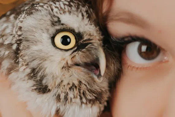 تييواسكي كازينو الدعم